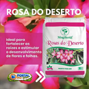 Substrato Rosas Do Deserto adubo composto Orgânico