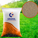 Sementes de Grama dos Batatais - PortalShopBrasil