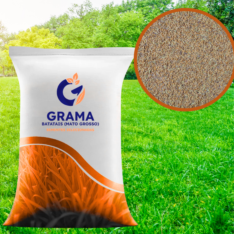 Sementes de Grama Mato Grosso (Batatais) - TerraVerde™