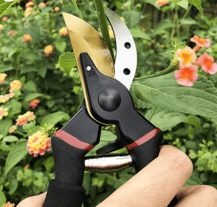 Tesoura De Podar Resistente e Afiada - CutPlant™