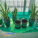 Kit Joelheira Com Bolsa de Ferramentas Para Jardinagem ou Tapete de Plantação