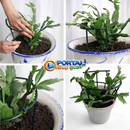 Gaiola de suporte de plantas para Crescimento Saudável