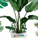 Gaiola de suporte de plantas para Crescimento Saudável