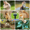 Repelente Solar Ultrassônico Pest-FREE Zone - Espanta Pombo, Morcegos e Pragas – A Prova D'água 24 Horas PortalShopBrasil