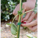 Ligação Para suportes de Plantas multifuncional Ecológico - Rolo 50 metros - PlantMed™ (Compre 1, Leve 2)