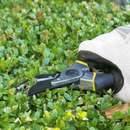 Tesoura De Podar Resistente e Afiada - CutPlant™