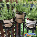 Suporte Cestinha Suspenso Plantas EuroCharme®