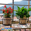 Suporte Cestinha Suspenso Plantas EuroCharme®