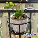 Suporte Cestinha Suspenso Plantas EuroCharme®