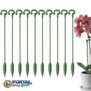 Suporte para Plantas GreenGrip™ - Qualit Premium