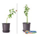 Suporte para Plantas GreenGrip™ - Qualit Premium
