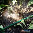 mangueira microperfurada para irrigação