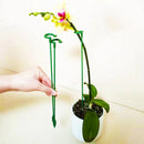 Suas Plantas Mais Grandiosas e Vivas -  Suportes PlantLife™ (Perfeito para Orquídeas, Flores e Rosas)