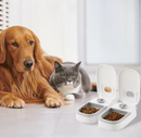 Comedouro Duplo e Automático Para Gatos com Temporizador