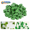 Clips de Folhas Adesivas Para Por Plantas na Parede - Portal Shop Brasil
