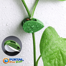 Clips de Folhas Adesivas Para Por Plantas na Parede - Portal Shop Brasil