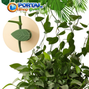 Clips de Folhas Adesivas Para Por Plantas na Parede - Portal Shop Brasil