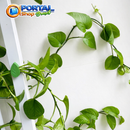 Clips de Folhas Adesivas Para Por Plantas na Parede - Portal Shop Brasil