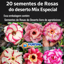 20 Sementes de Rosas do Deserto - Mix de Cores