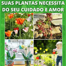 Suas Plantas Mais Grandiosas e Vivas -  Suportes PlantLife™ (Perfeito para Orquídeas, Flores e Rosas)