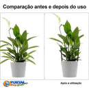 Gaiola de suporte de plantas para Crescimento Saudável