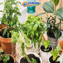 Gaiola de suporte de plantas para Crescimento Saudável