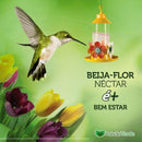 Néctar Para Beija Flor - PortalShopBrasil