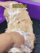 Escova de banho para Cachorro e Gato em Silicone com Reservatório para Água e Sabão