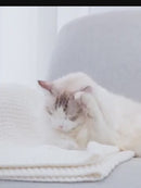 Comedouro Duplo e Automático Para Gatos com Temporizador