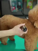 Máquina de Tosa para Cachorros - PetClipPro